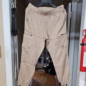 Banana Republic Beige Jogger Pants